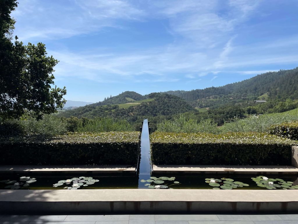Promontory Napa Valley winery entrance under soft morning fog — the ridgeline that marks the beginning of Napa’s western frontier