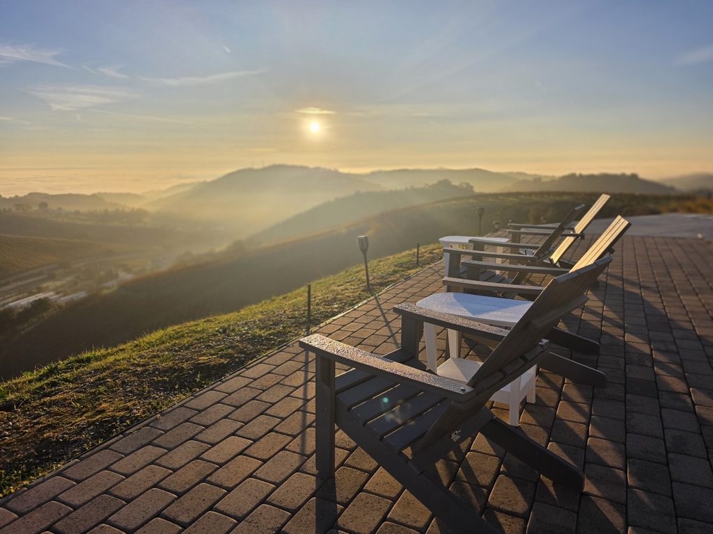 Morning light over the vineyards of Paso Robles